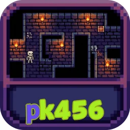 pk456